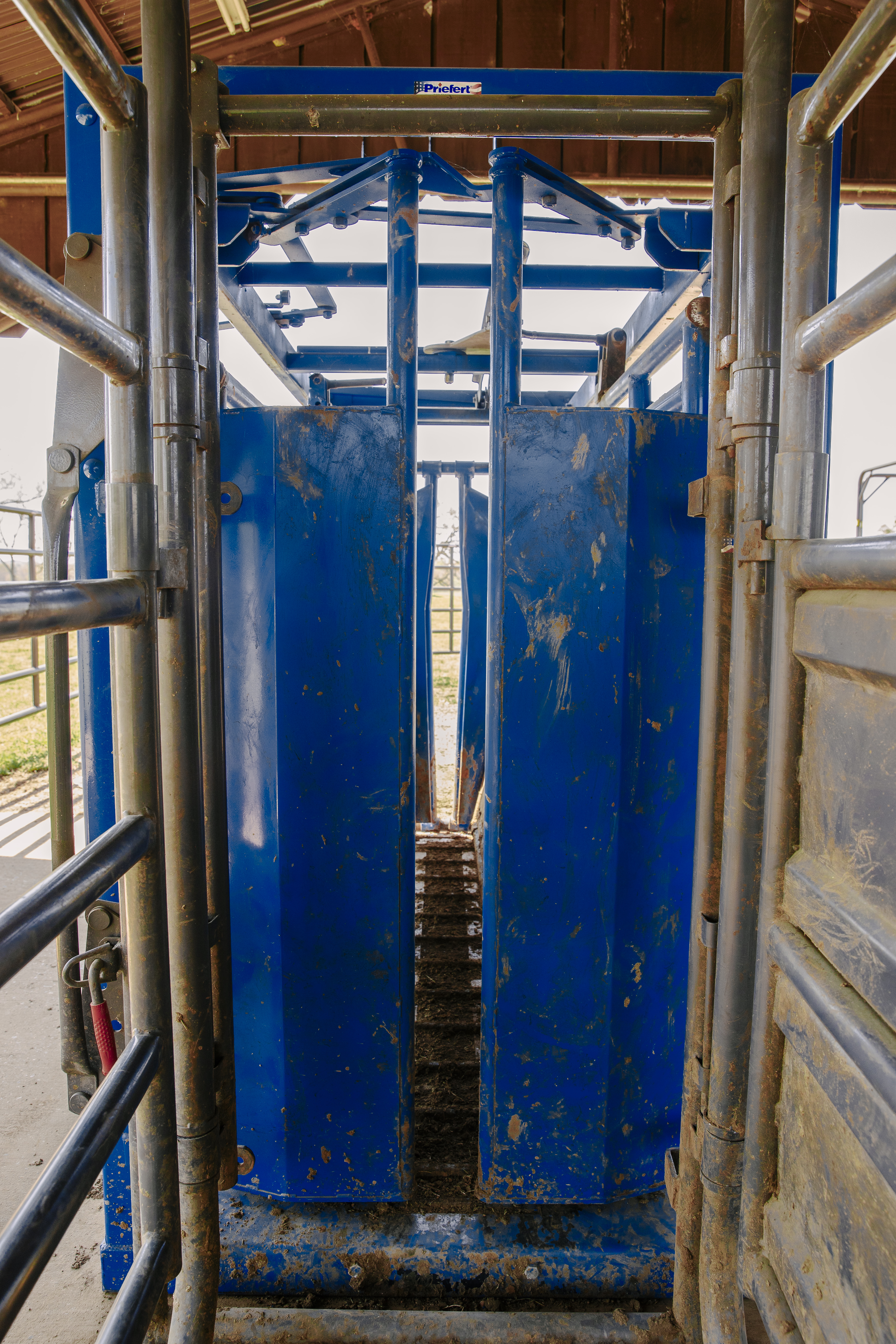 SqueezeChute SC25 0326 WorkingPens 9620.jpg